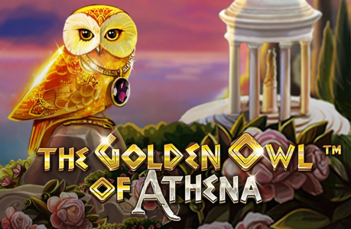 the golden owl of athena gra hazardowa